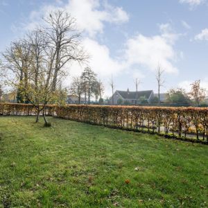 Dedemsvaartseweg-Noord 158, 7775 AL Lutten - Foto 53