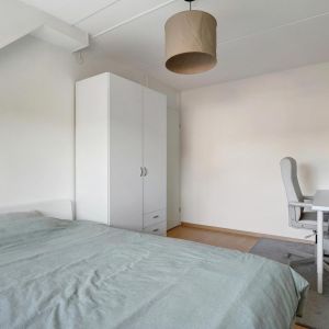 De Koningsvaren 100, 7701 MK Dedemsvaart - Foto 19