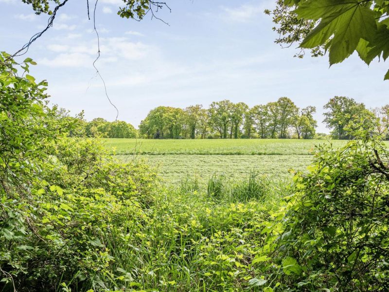 Brinkweg 5 d, 7691 PE Bergentheim - Foto 23
