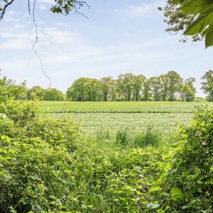 Brinkweg 5 d, 7691 PE Bergentheim - Foto 22