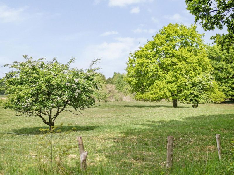 Brinkweg 5 d, 7691 PE Bergentheim - Foto 43