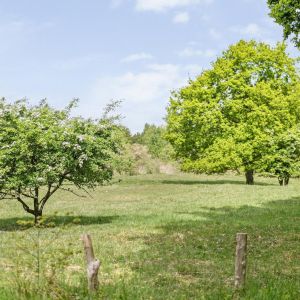 Brinkweg 5 d, 7691 PE Bergentheim - Foto 42