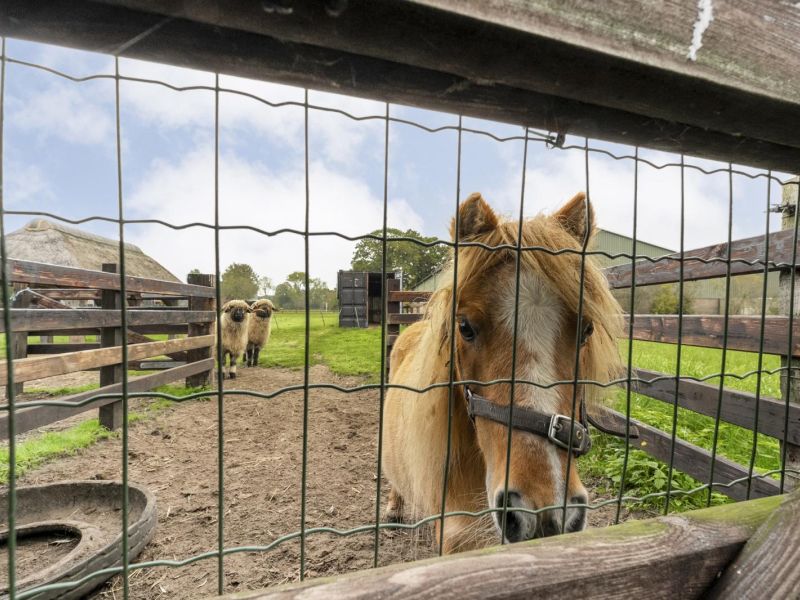 Anerveenseweg 11, 7784 DC Ane - Foto 109