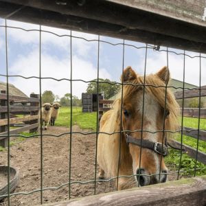 Anerveenseweg 11, 7784 DC Ane - Foto 108