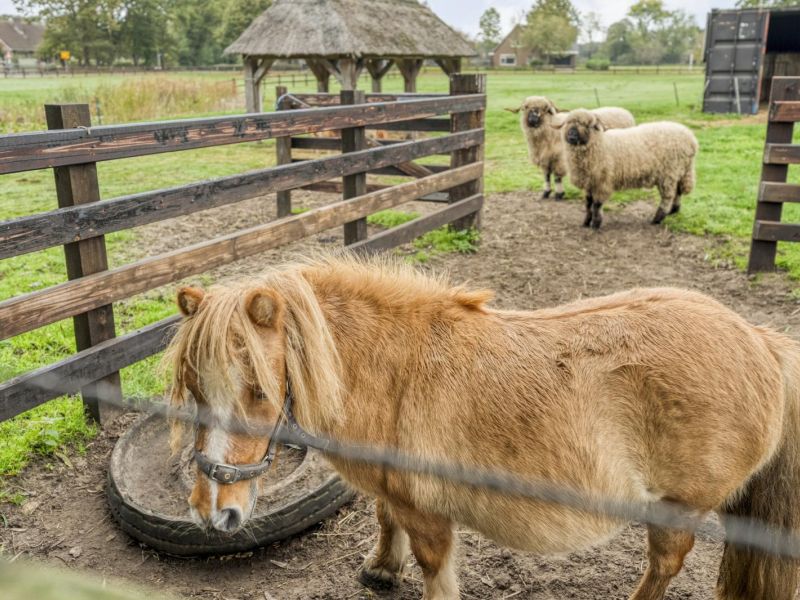 Anerveenseweg 11, 7784 DC Ane - Foto 110