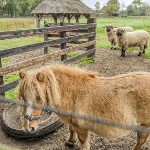 Anerveenseweg 11, 7784 DC Ane - Foto 109