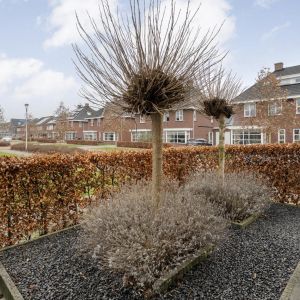 Meijerstraat 20, 7773 BH Hardenberg - Foto 33