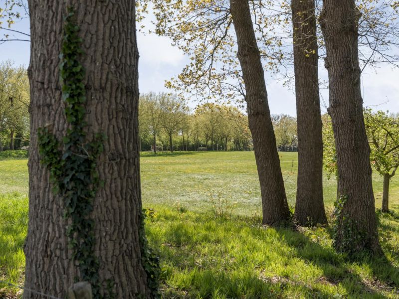 Weidebuurt 20, 7771 CZ Hardenberg - Foto 49