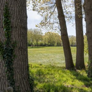 Weidebuurt 20, 7771 CZ Hardenberg - Foto 48