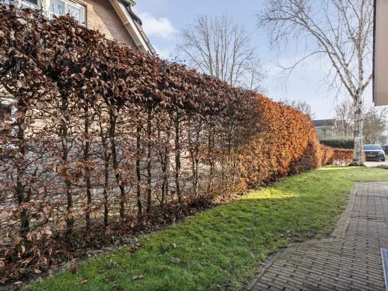 Rozenheim 3, 7701 NC Dedemsvaart - Foto 43