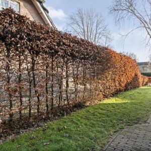 Rozenheim 3, 7701 NC Dedemsvaart - Foto 42