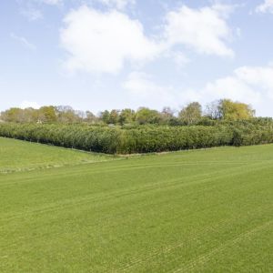 Hoofdweg 107, 7741 PN Coevorden - Foto 66