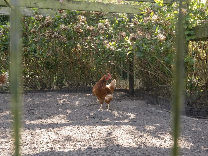 Hoofdweg 107, 7741 PN Coevorden - Foto 88