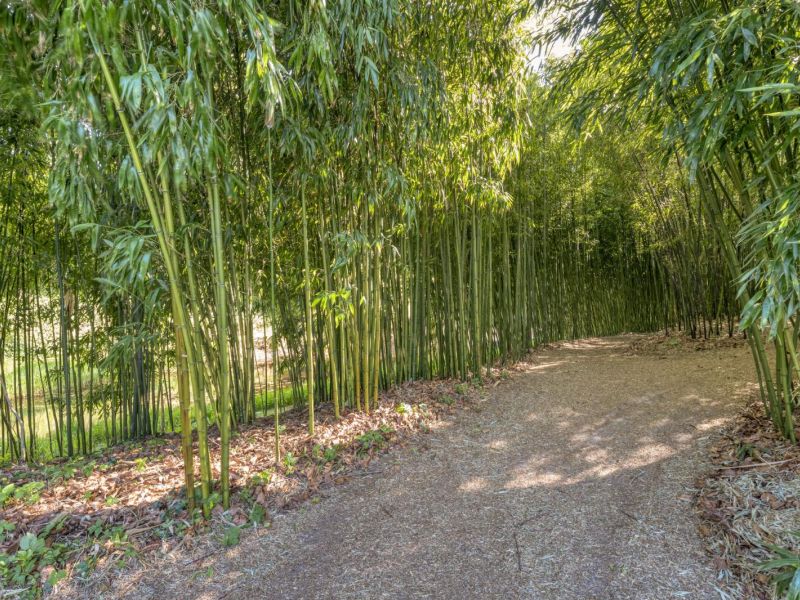 Hoofdweg 107, 7741 PN Coevorden - Foto 95