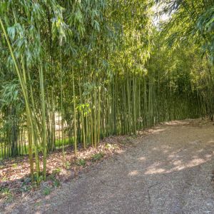 Hoofdweg 107, 7741 PN Coevorden - Foto 94