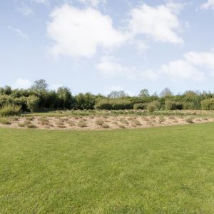 Hoofdweg 107, 7741 PN Coevorden - Foto 98