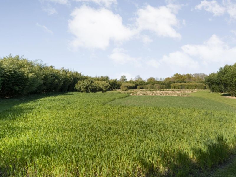 Hoofdweg 107, 7741 PN Coevorden - Foto 101