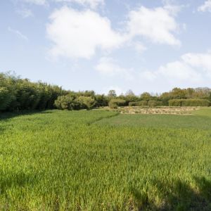 Hoofdweg 107, 7741 PN Coevorden - Foto 100