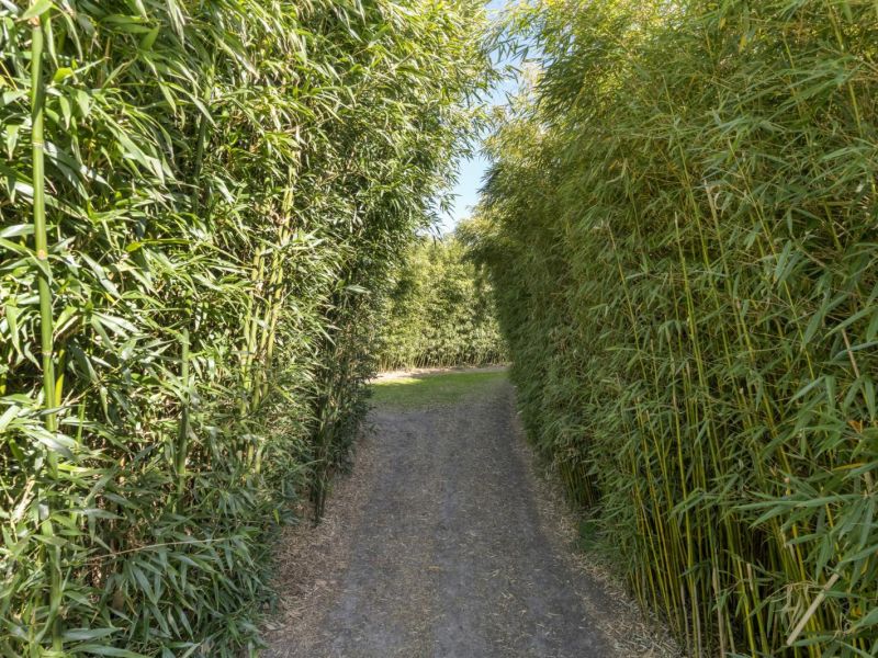 Hoofdweg 107, 7741 PN Coevorden - Foto 102
