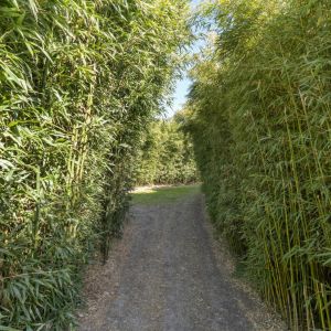 Hoofdweg 107, 7741 PN Coevorden - Foto 101