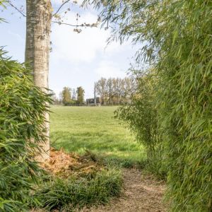 Hoofdweg 107, 7741 PN Coevorden - Foto 109